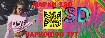 гашик Новозыбков