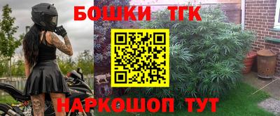 гашик Новозыбков