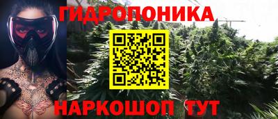 гашик Новозыбков