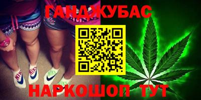 сатива Новодвинск