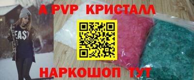 гашик Новозыбков