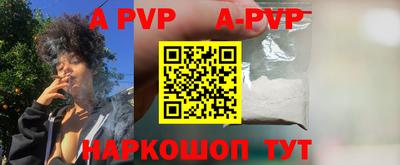 гашик Новозыбков
